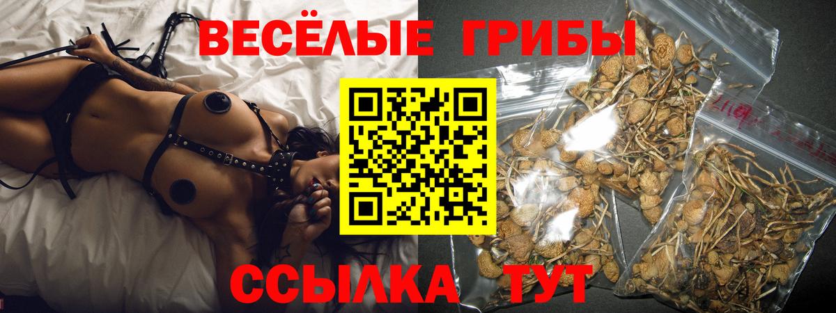 Псилоцибиновые грибы мицелий Сыктывкар