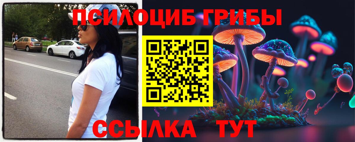 Галлюциногенные грибы Psilocybine cubensis  магазин продажи наркотиков  Сыктывкар  Псилоцибиновые грибы мухоморы  Вход с VPN 